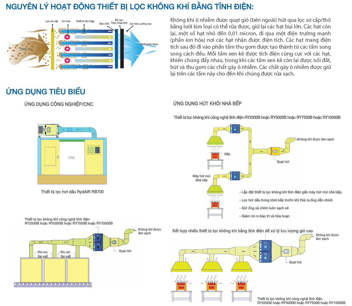 Artboard_6_copy_baf2b113f0 (1).png